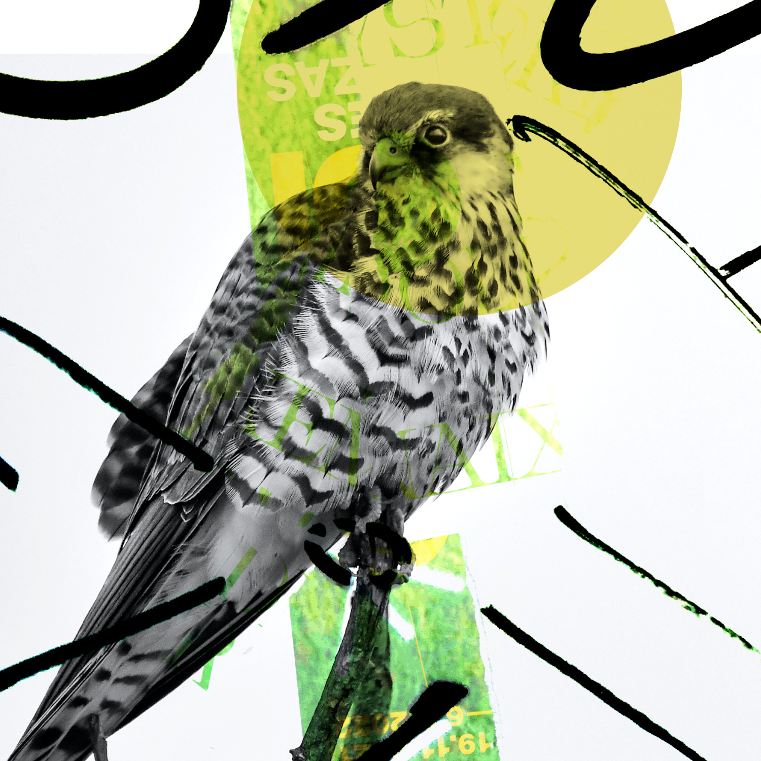 Cumbia & Rarezas Bailables Mixtape